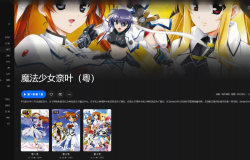 【粤配】魔法少女奈葉1-3季——30天-迅雷
