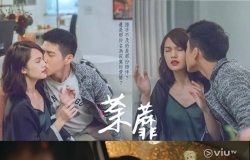 茶蘼 国粤双语中字 HDTV1080i VIUTV源码