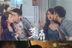 茶蘼 国粤双语中字 HDTV1080i VIUTV源码