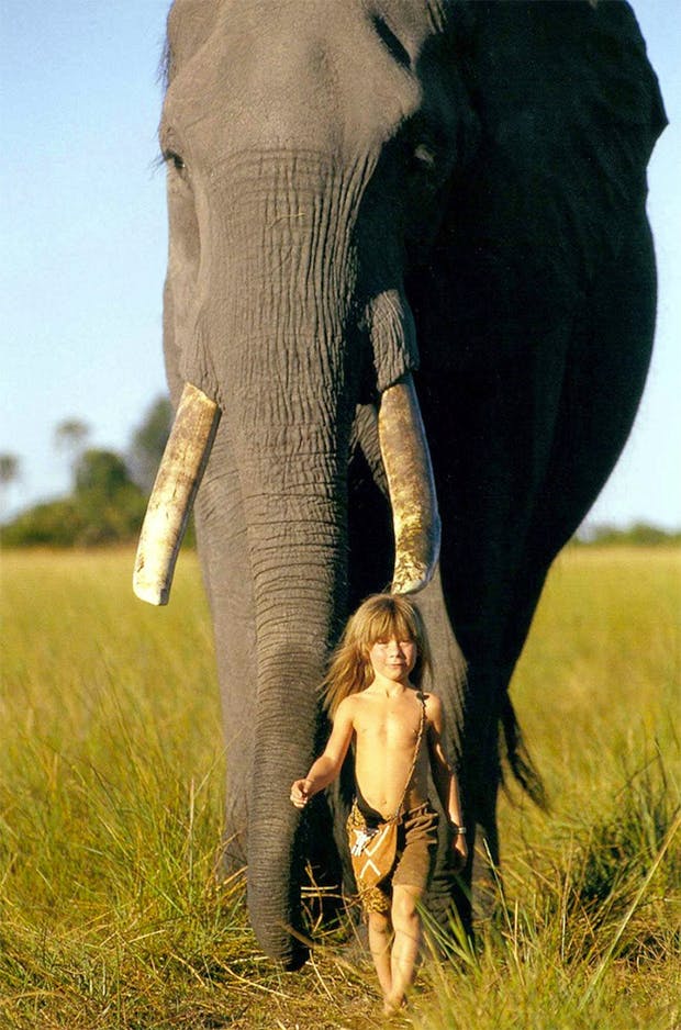 Tippi_Degre2.jpg