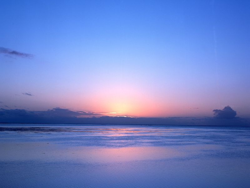 20120318_4541ef3e543fd94cdfbfYMpegenRvssC.jpg
