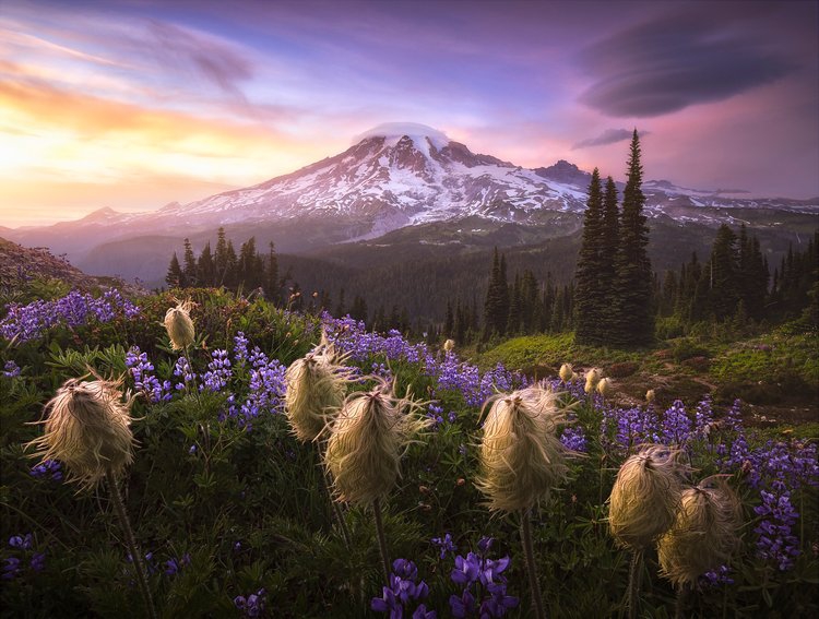 201117_ILPOTY2020_06.jpg