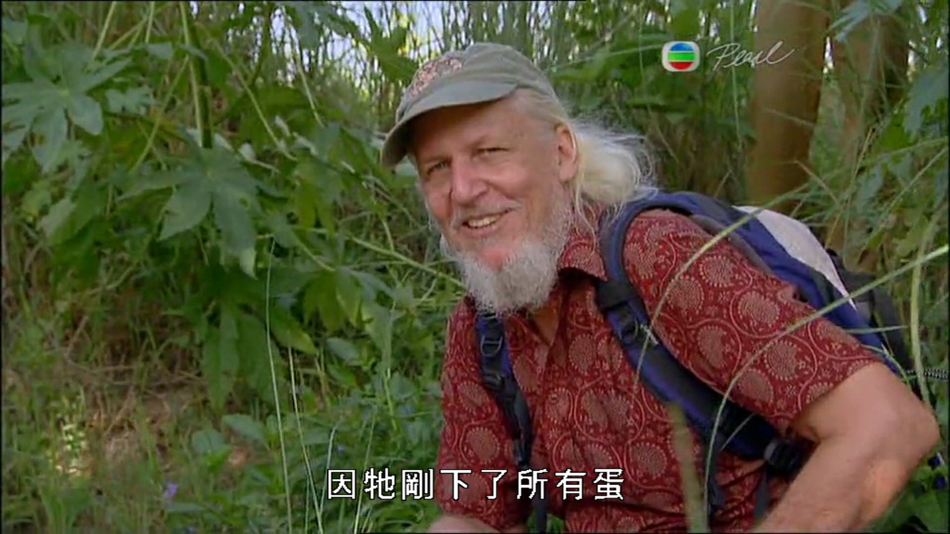 【印度毒蛇之最】粤英双语中字.BBC