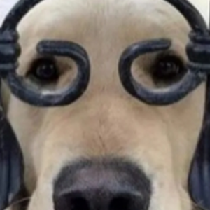 QQ20250601-095919.png