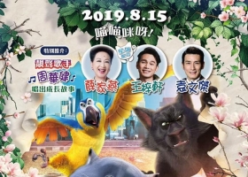 貓咪媽咪home